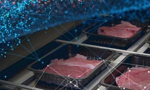 AUTOMATIC TESTING FOR MEAT AND POULTRY PROCESSING